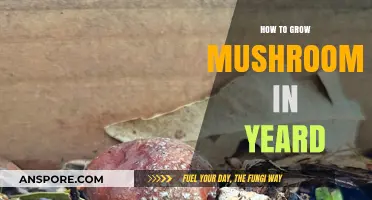 Easy Steps to Growing Mushrooms in Your Backyard Garden