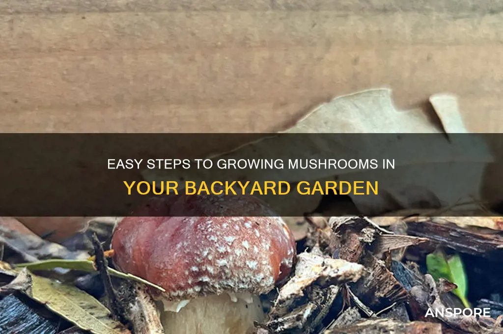how to grow mushrooms in yeard