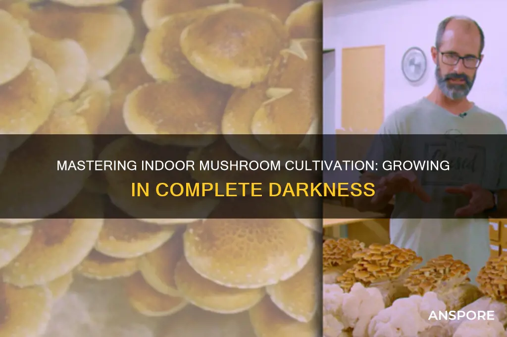 how to grow mushrooms indoors in the dark