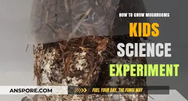 Fun Mushroom Growing Experiment for Kids: Simple Science at Home