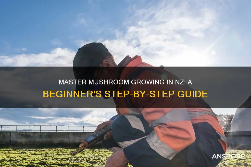how to grow mushrooms nz