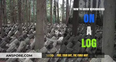 Master Log Cultivation: A Beginner's Guide to Growing Mushrooms
