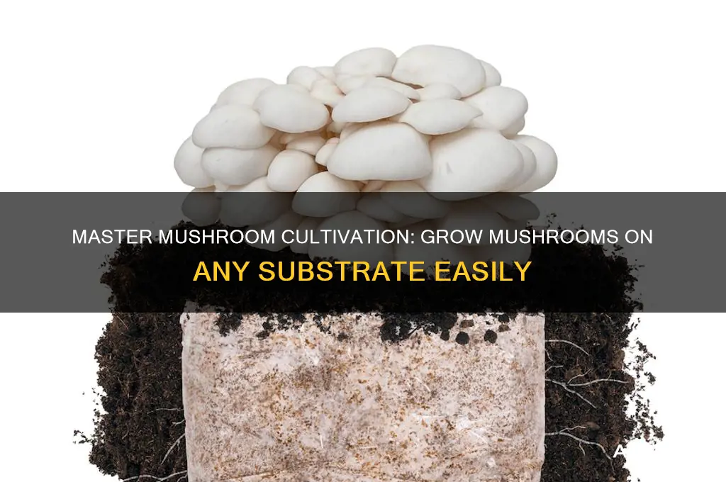 how to grow mushrooms on anything