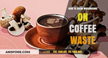 Eco-Friendly Mushroom Farming: Transforming Coffee Waste into Delicious Harvests