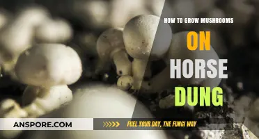 Growing Mushrooms on Horse Dung: A Step-by-Step Guide