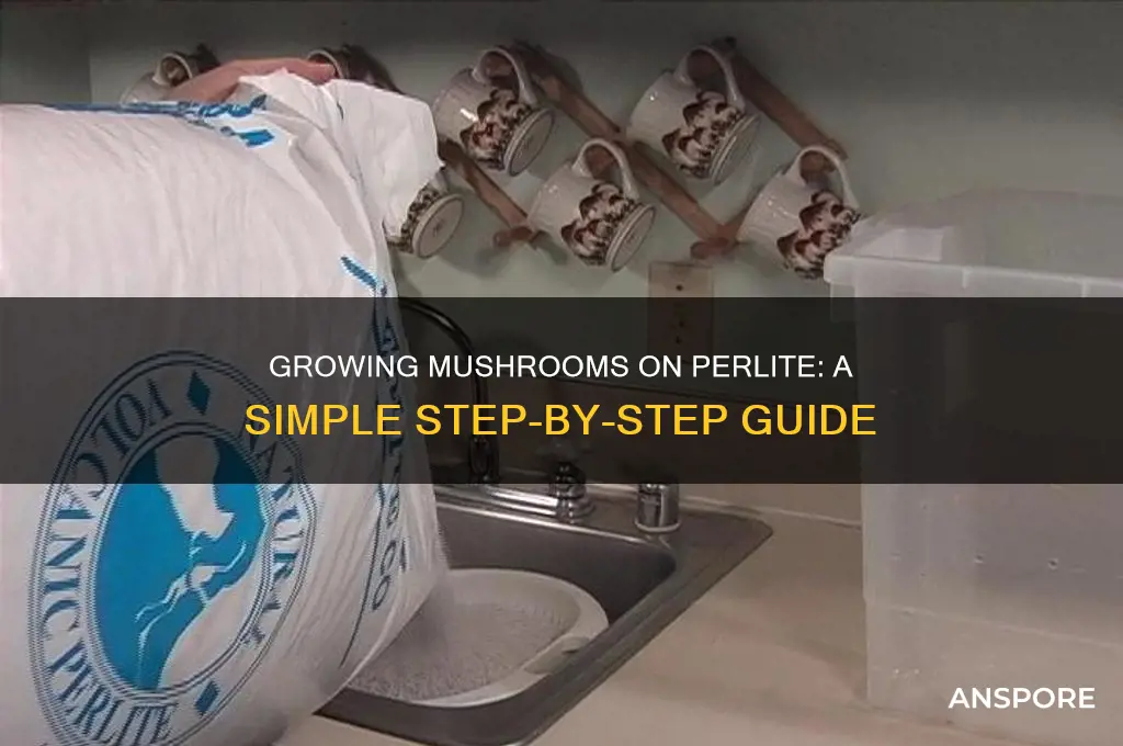 how to grow mushrooms on perlite