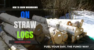 Master Mushroom Cultivation: Growing on Straw Logs Step-by-Step