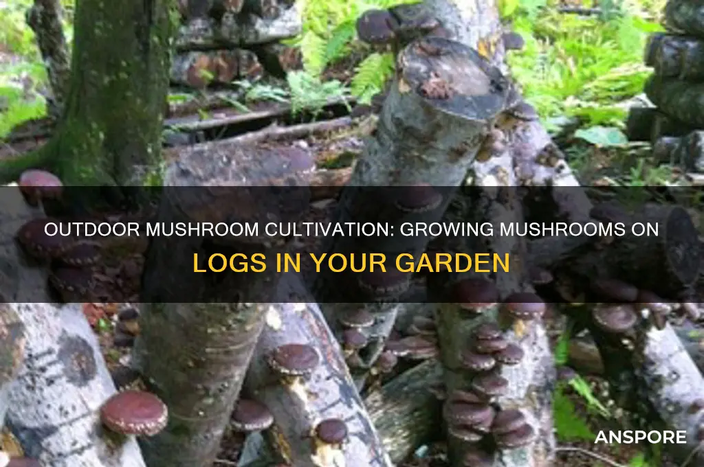 how to grow mushrooms outside on logs