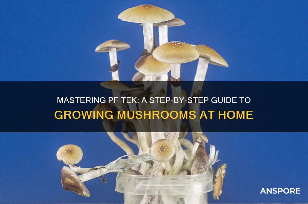 how to grow mushrooms pf tek