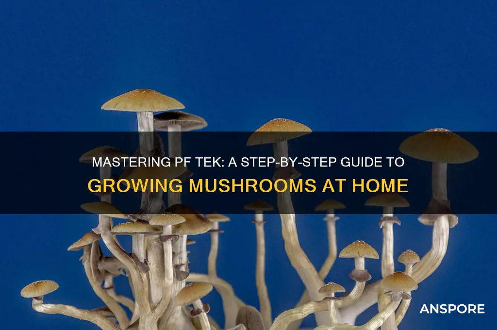 how to grow mushrooms pftek