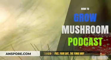 Mastering Mushroom Cultivation: Tips from the Top Growers Podcast