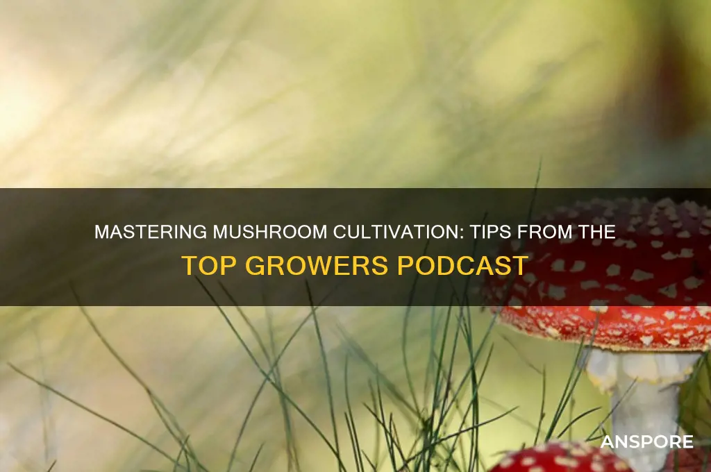 how to grow mushrooms podcast
