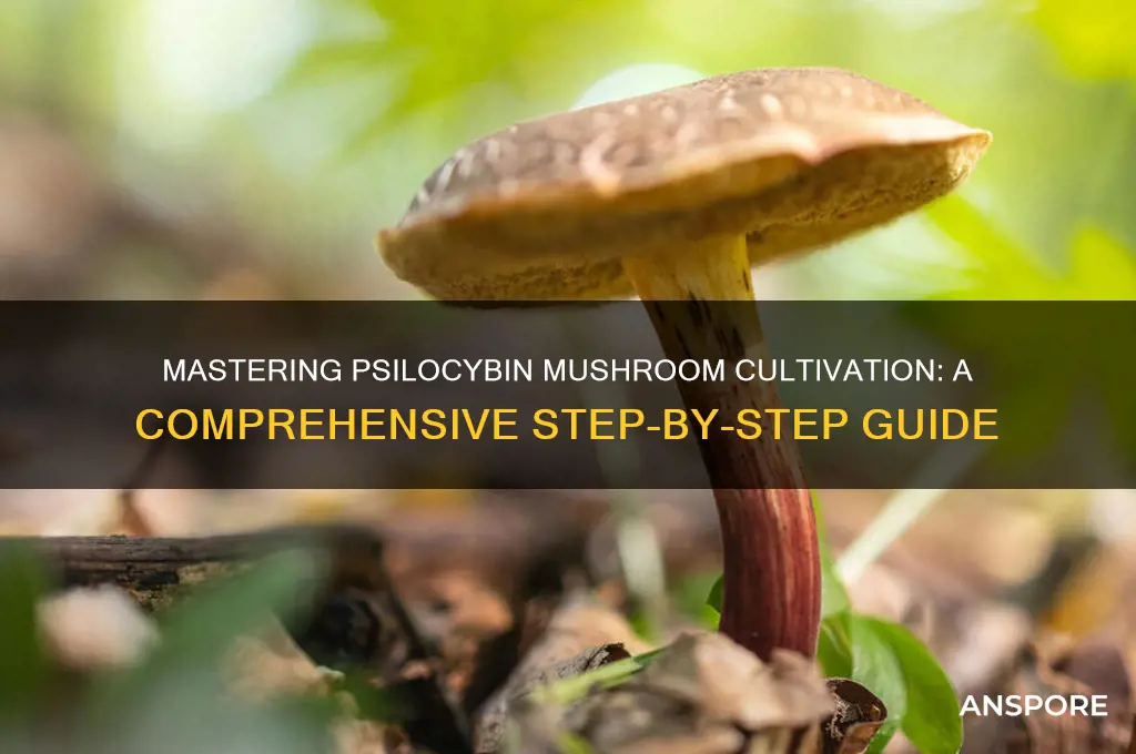 how to grow mushrooms psylocibin