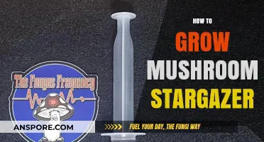 Mastering Stargazer Mushroom Cultivation: A Step-by-Step Growing Guide