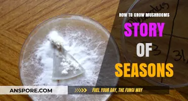 Mastering Mushroom Cultivation in Story of Seasons: Tips and Tricks