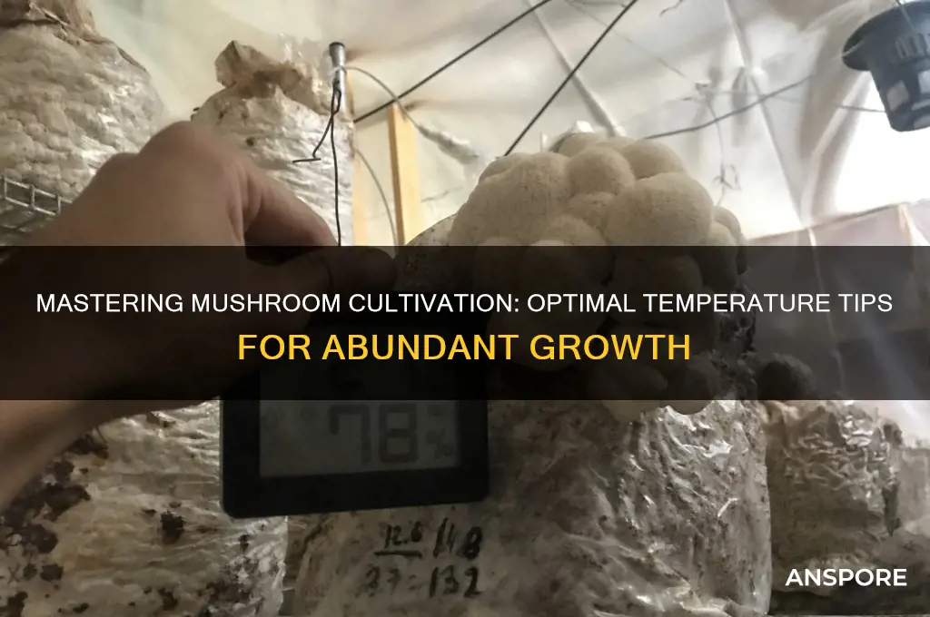 how to grow mushrooms temperatire