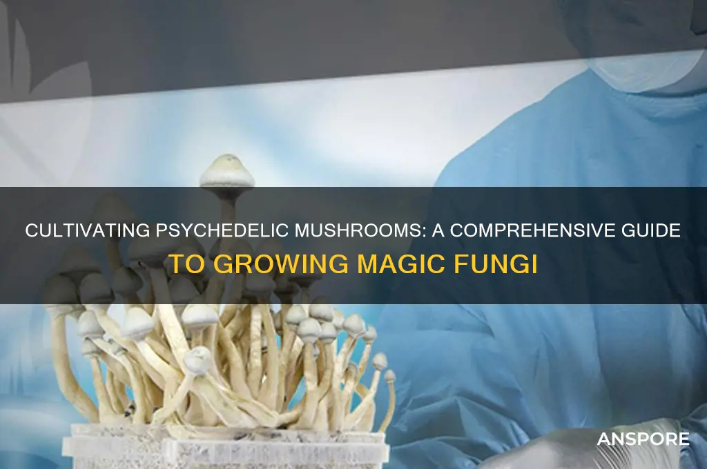 how to grow mushrooms that get you high