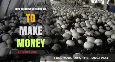 Profitable Mushroom Farming: A Step-by-Step Guide to Growing for Income