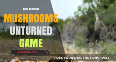 Mastering Mushroom Cultivation in Unturned: A Step-by-Step Guide