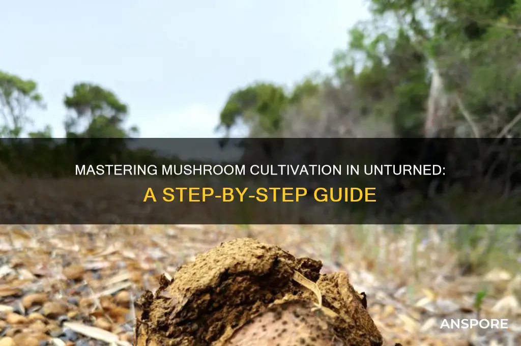 how to grow mushrooms unturned game