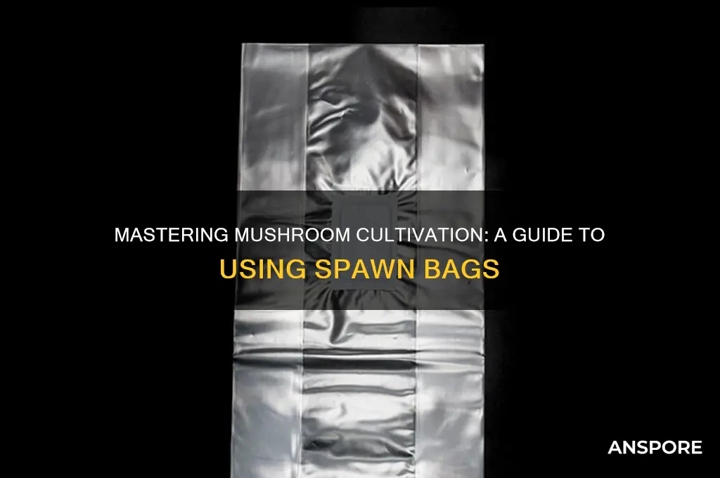 how to grow mushrooms using spawn bags