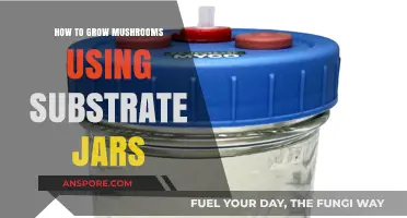 Mastering Mushroom Cultivation: A Guide to Substrate Jar Techniques