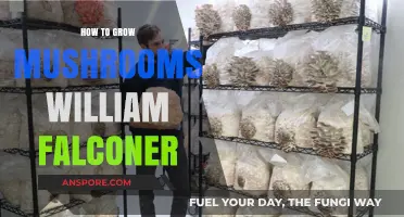 Master Mushroom Cultivation: William Falconer's Proven Growing Techniques