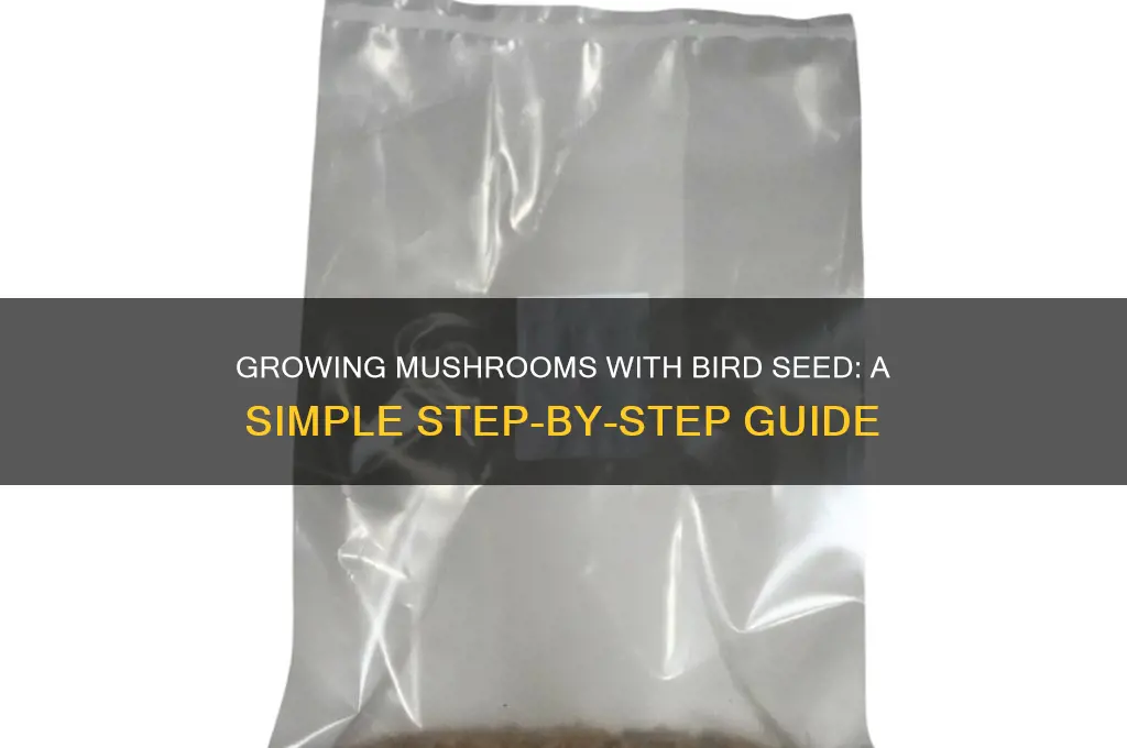 how to grow mushrooms with bird seed