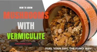 Mastering Mushroom Cultivation: Vermiculite Techniques for Abundant Harvests