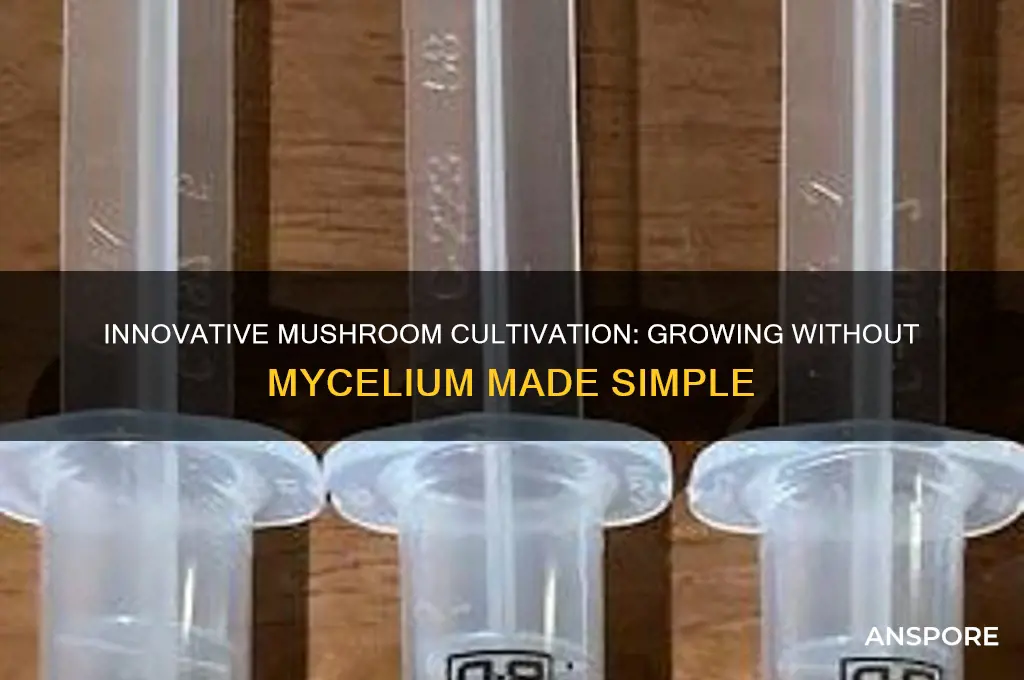 how to grow mushrooms without mycelium