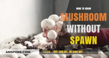 Growing Mushrooms Naturally: A Spawn-Free Cultivation Guide