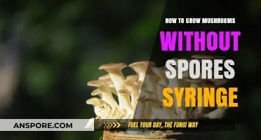 Growing Mushrooms Without Spores: Alternative Methods for Cultivation