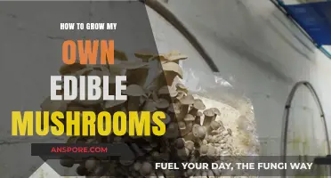 Mastering Mushroom Cultivation: A Beginner's Guide to Growing Edible Mushrooms