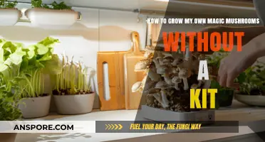 DIY Magic Mushroom Cultivation: A Guide to Growing Without Kits