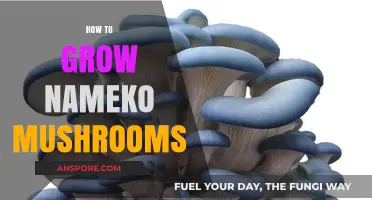 Mastering Nameko Mushroom Cultivation: A Step-by-Step Growing Guide