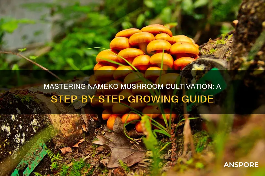 how to grow nameko mushrooms