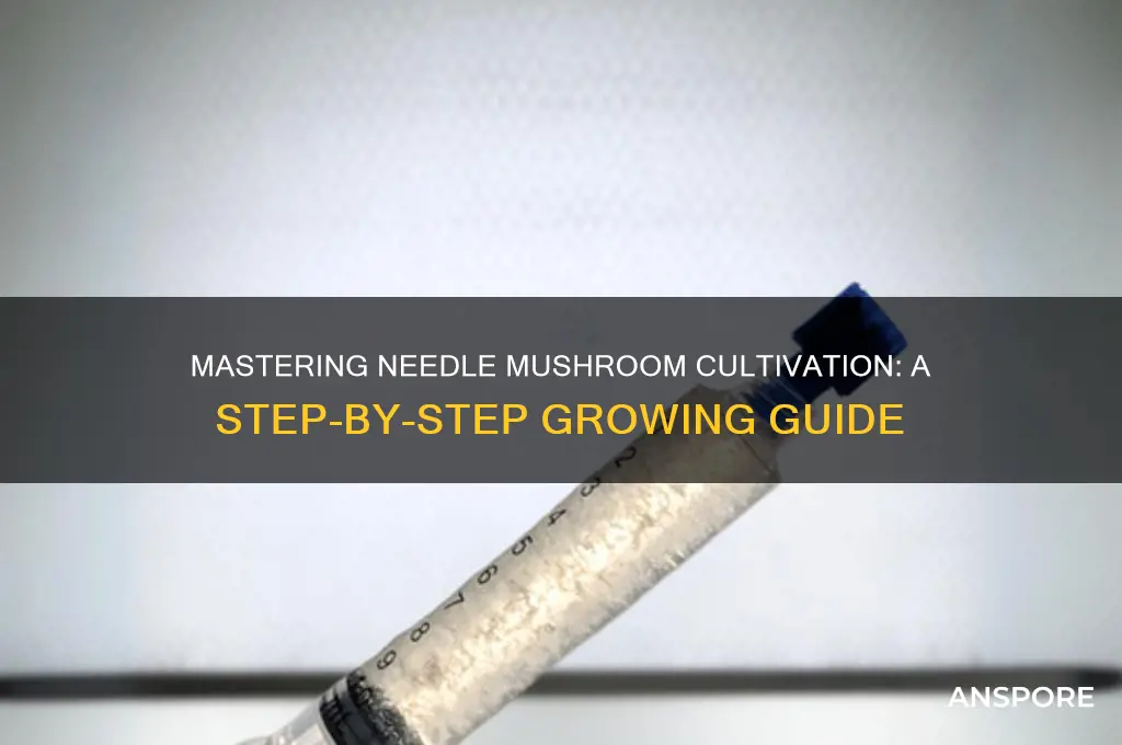 how to grow needle mushroom