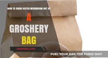 Easy Oyster Mushroom Growing: Transform Your Grocery Bag into a Fungal Farm