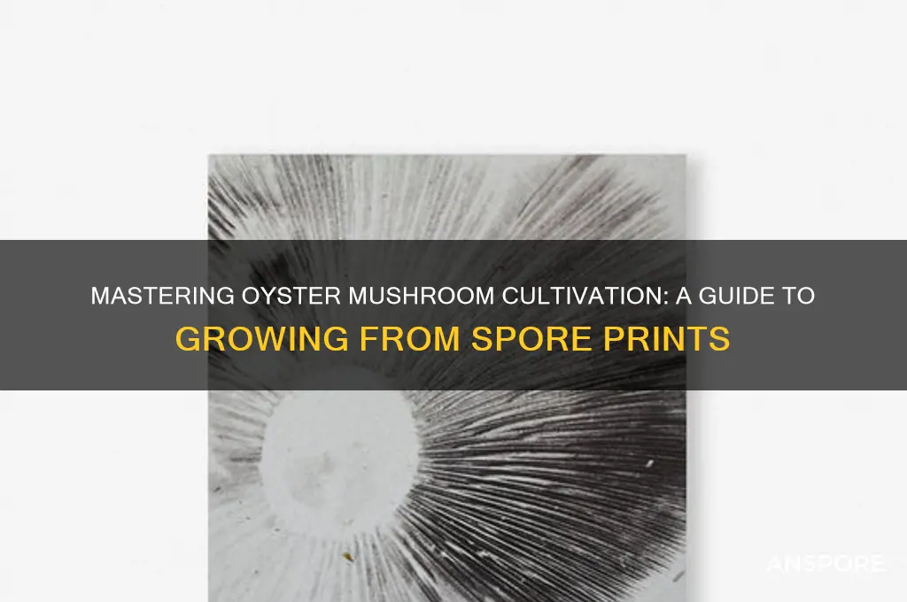 how to grow oyster mushrooms from spore print