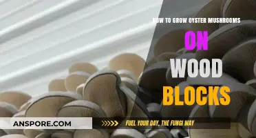 Mastering Oyster Mushroom Cultivation on Wood Blocks: A Step-by-Step Guide