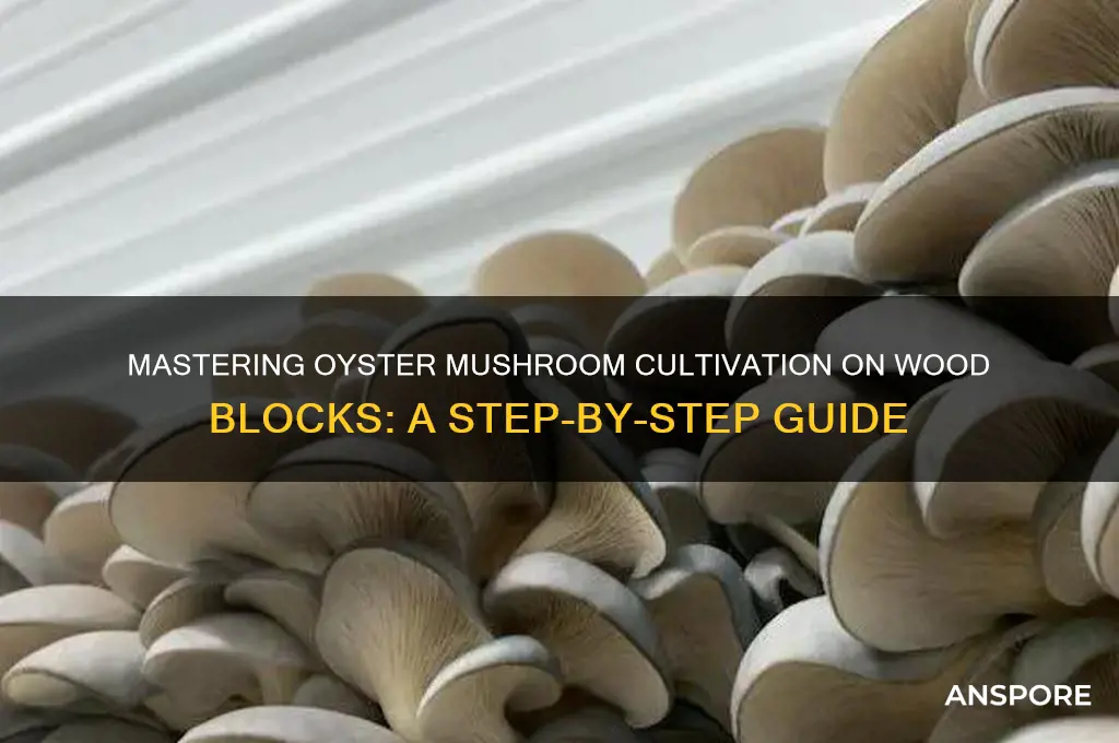 how to grow oyster mushrooms on wood blocks
