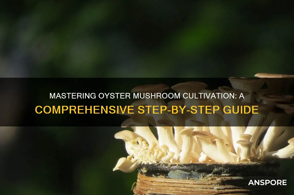 how to grow oyster mushrooms step by step