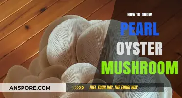 Mastering Pearl Oyster Mushroom Cultivation: A Step-by-Step Growing Guide