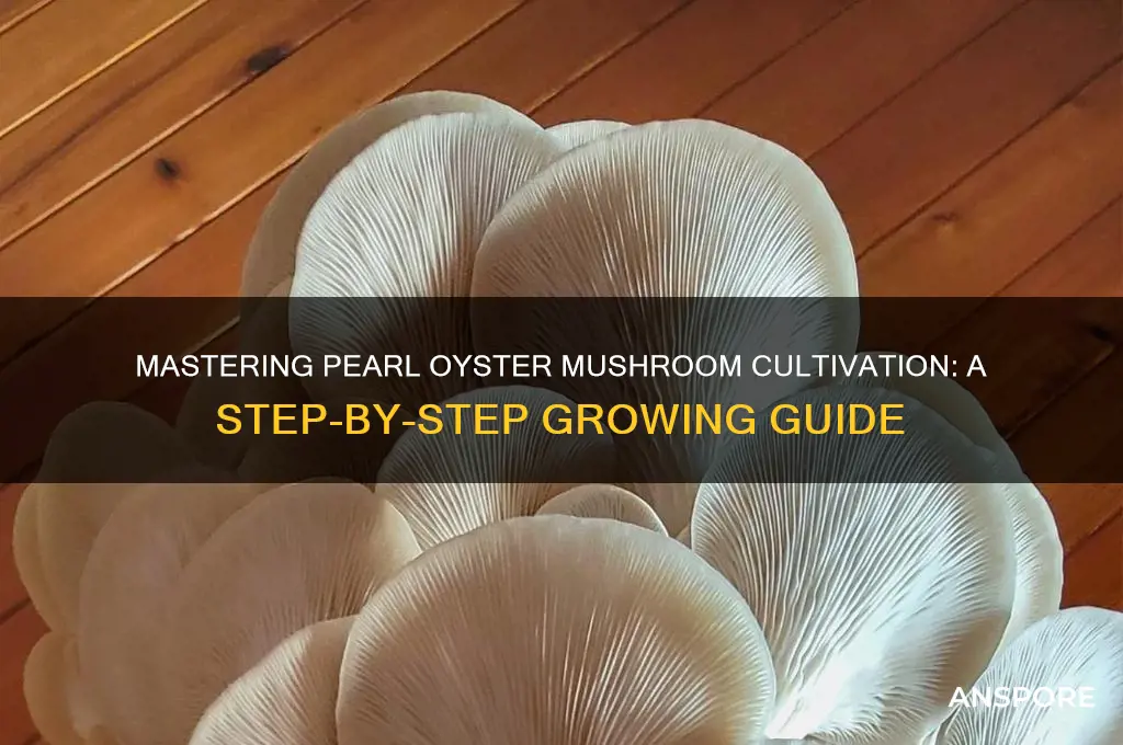 how to grow pearl oyster mushrooms