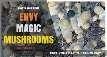 Cultivating Penis Envy: A Comprehensive Guide to Growing Magic Mushrooms