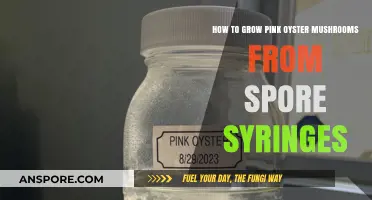 Growing Pink Oyster Mushrooms: A Step-by-Step Guide Using Spore Syringes