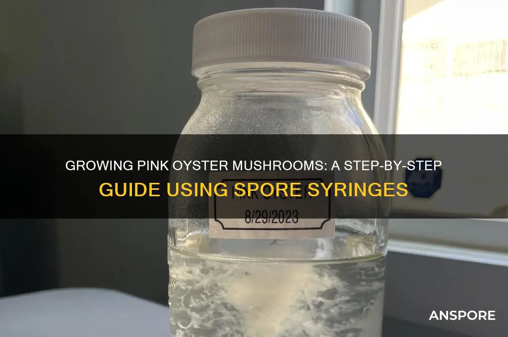how to grow pink oyster mushrooms from spore syringes