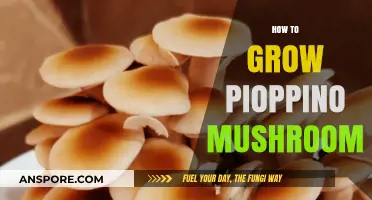 Mastering Pioppino Mushroom Cultivation: A Step-by-Step Growing Guide