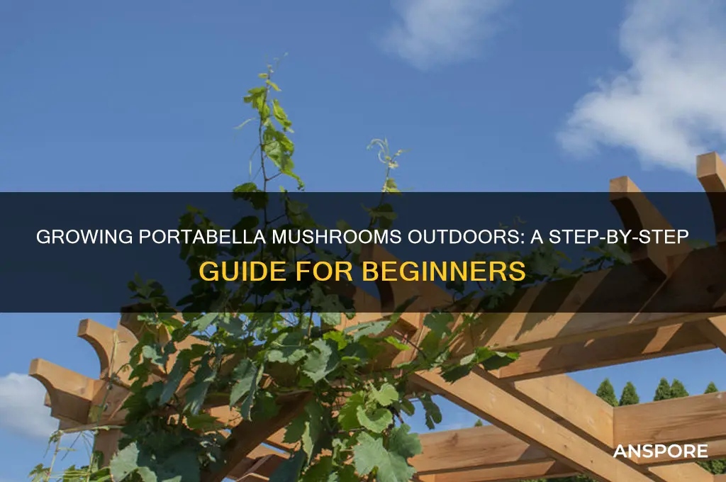 how to grow portabella mushrooms outside