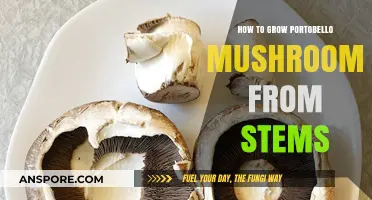 Growing Portobello Mushrooms: A Step-by-Step Guide from Stems